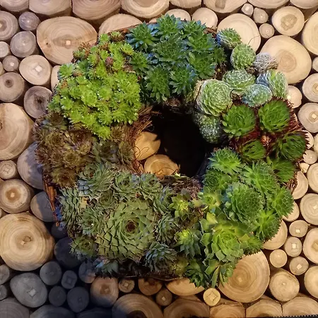 Le Chalet Du Lac Chalet