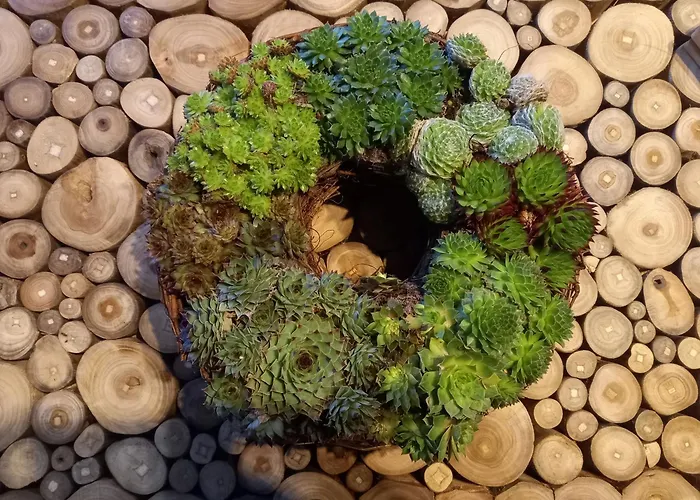 Le Chalet Du Lac Dağ evi